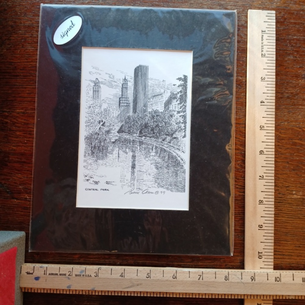 Black Framed Central Park Art Print - Signed